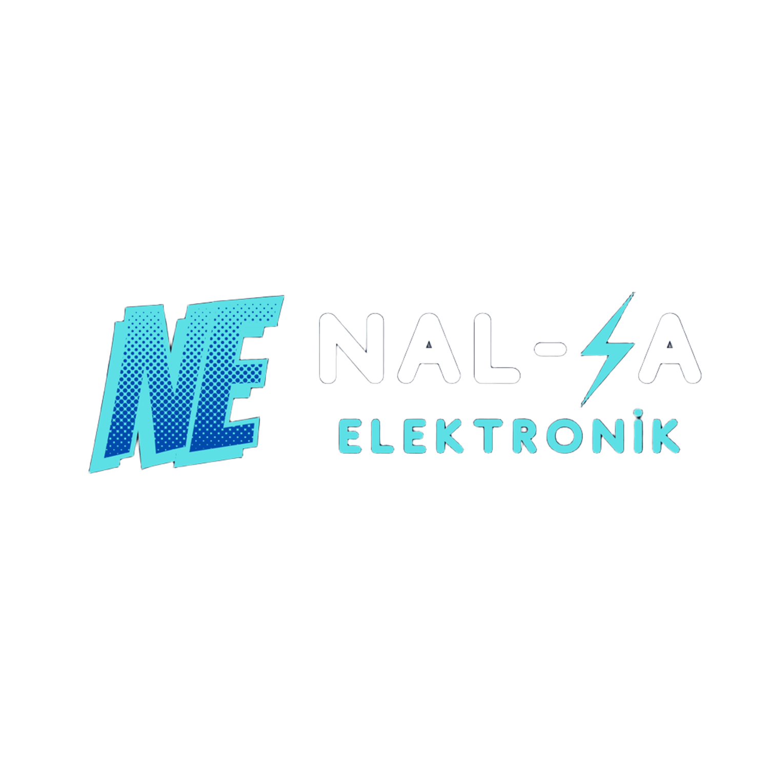NALSA